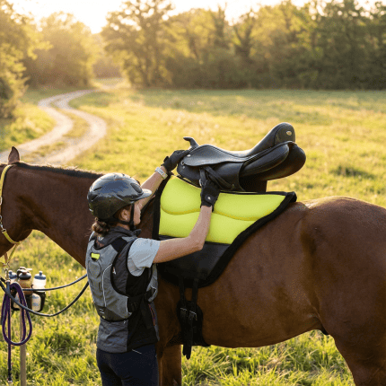 AVRUPA ENDURANCE PED kullanım görseli