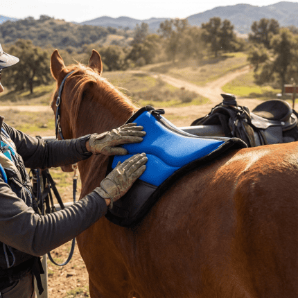 AVRUPA ENDURANCE PED kullanım görseli