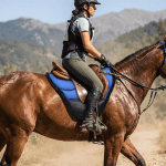 AVRUPA ENDURANCE PED kullanım görseli