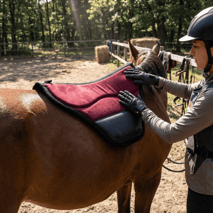 AVRUPA ENDURANCE PED kullanım görseli