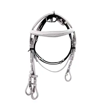 Avrupa Başlik - Truva Atçılık - At Malzemesi