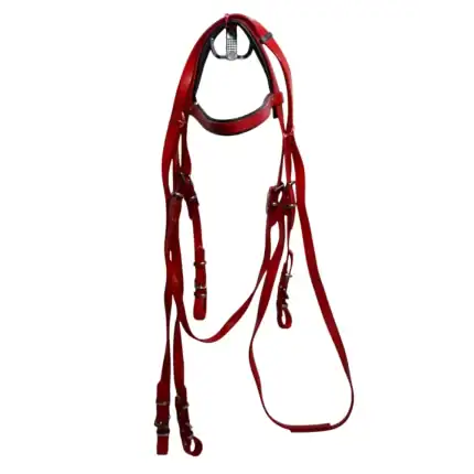 Truva Pvc Başlik Set - Truva Atçılık - At Malzemesi