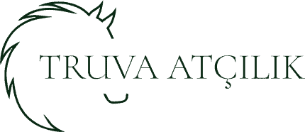 Truvayesillogo